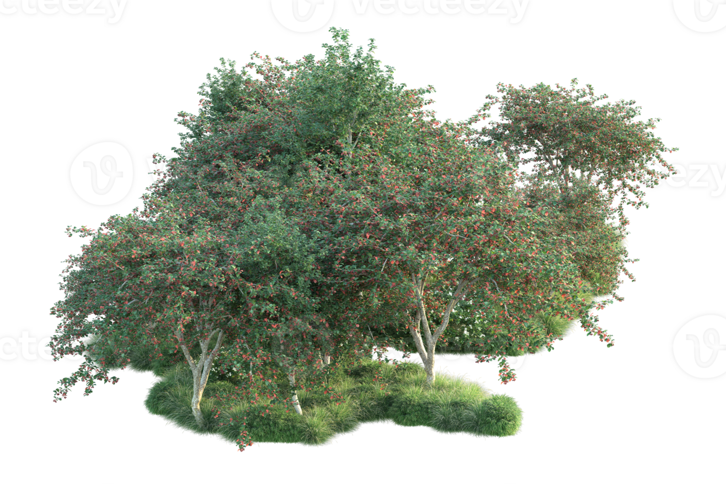 Tropical forest isolated on transparent background. 3d rendering - illustration png