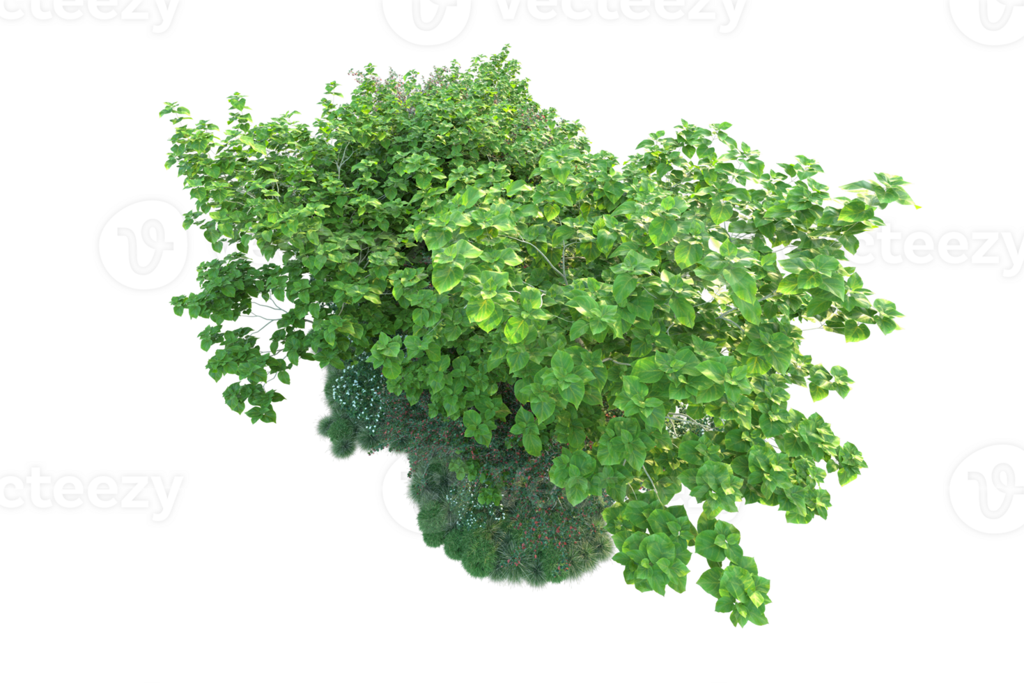Tropical forest isolated on transparent background. 3d rendering - illustration png