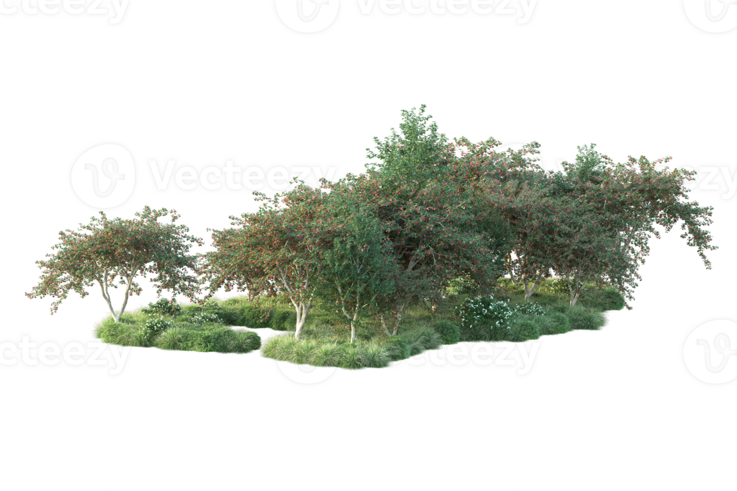 Tropical forest isolated on transparent background. 3d rendering - illustration png