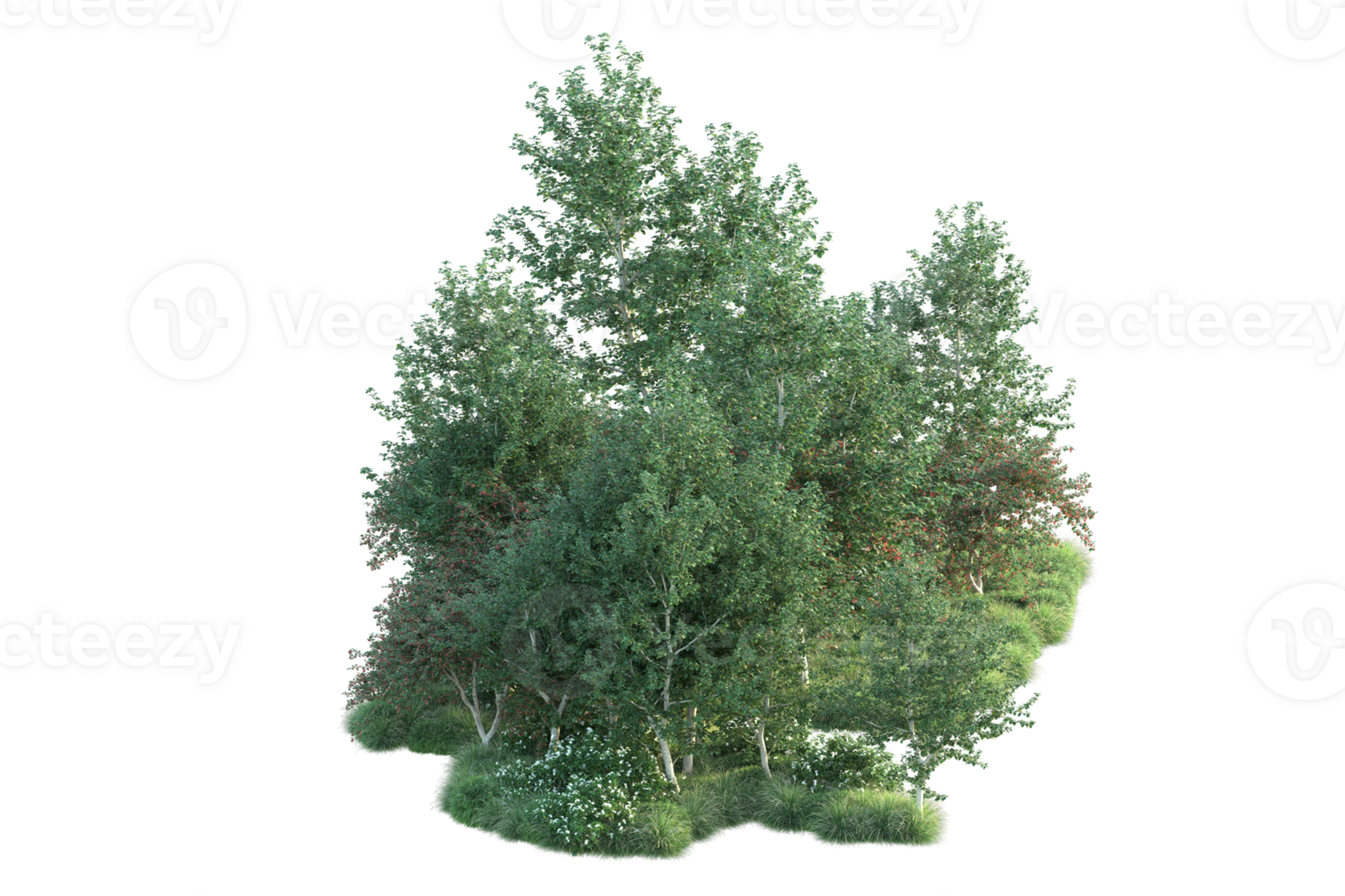 Tropical forest isolated on transparent background. 3d rendering - illustration png