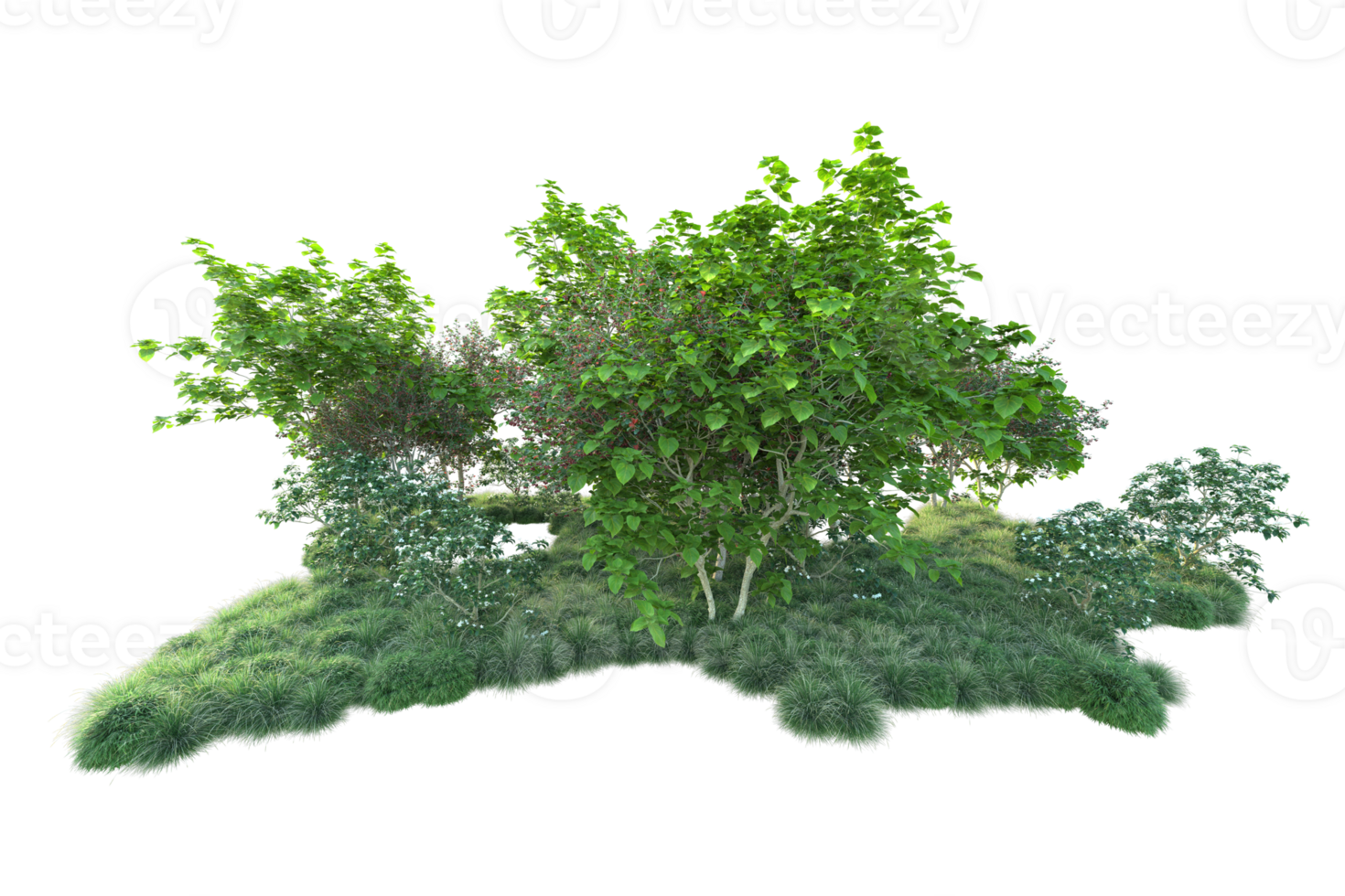 Tropical forest isolated on transparent background. 3d rendering - illustration png