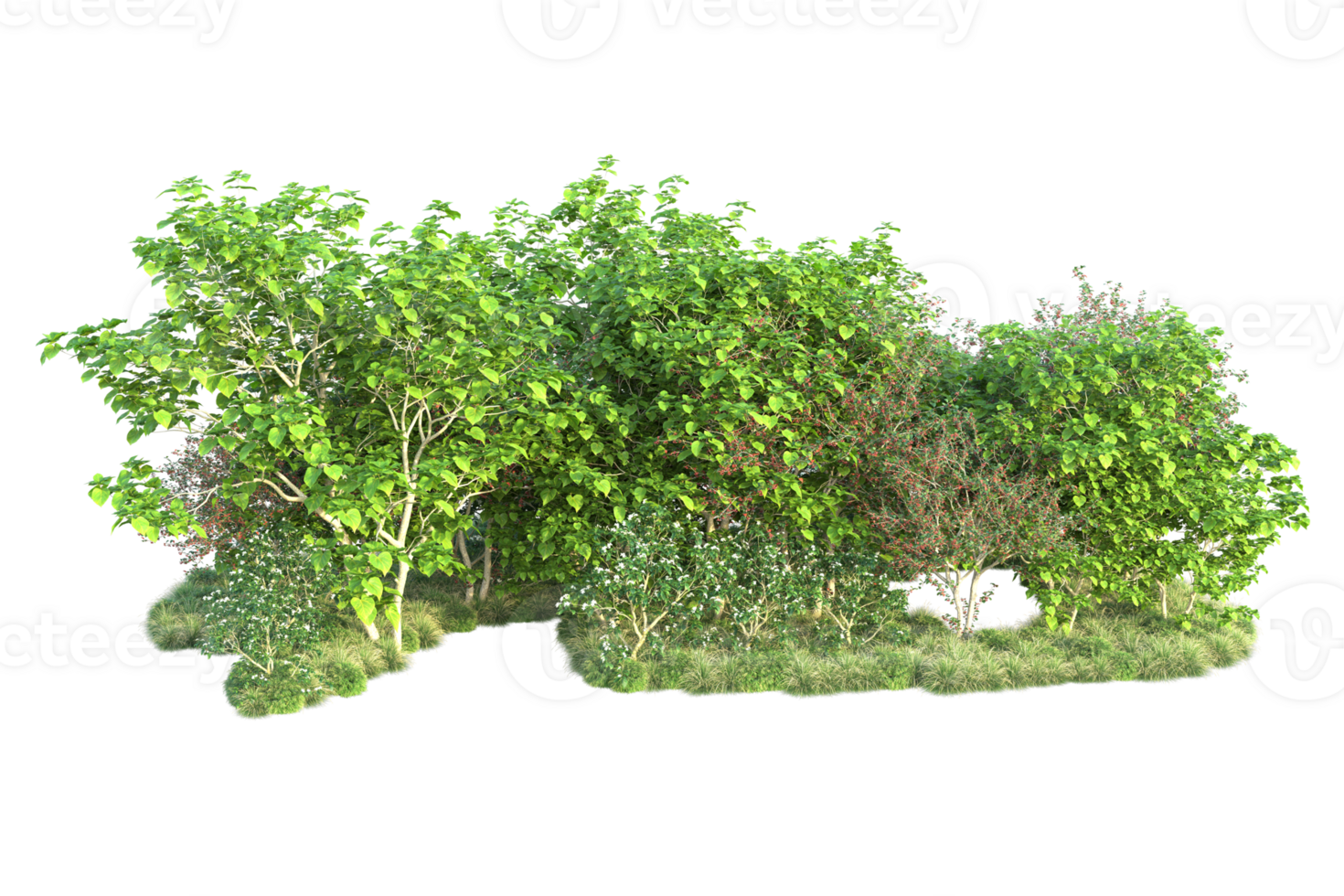 Tropical forest isolated on transparent background. 3d rendering - illustration png