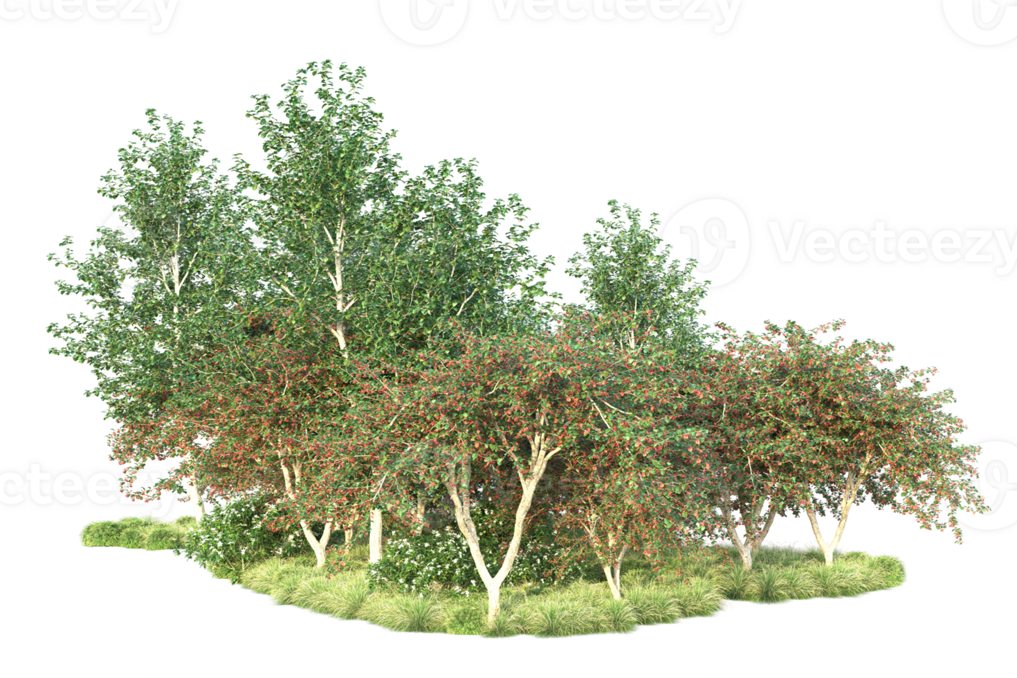 Tropical forest isolated on transparent background. 3d rendering - illustration png