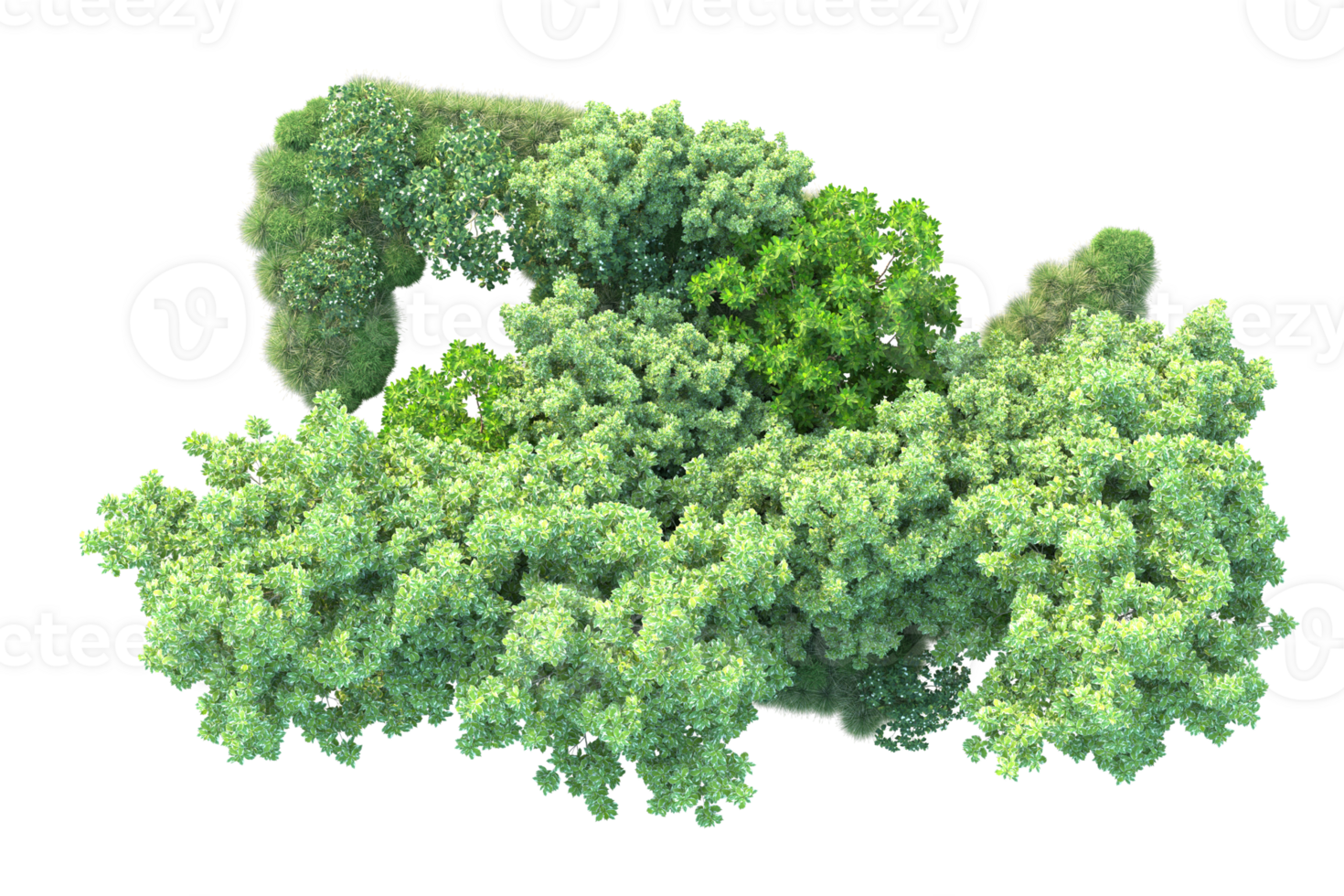 Tropical forest isolated on transparent background. 3d rendering - illustration png
