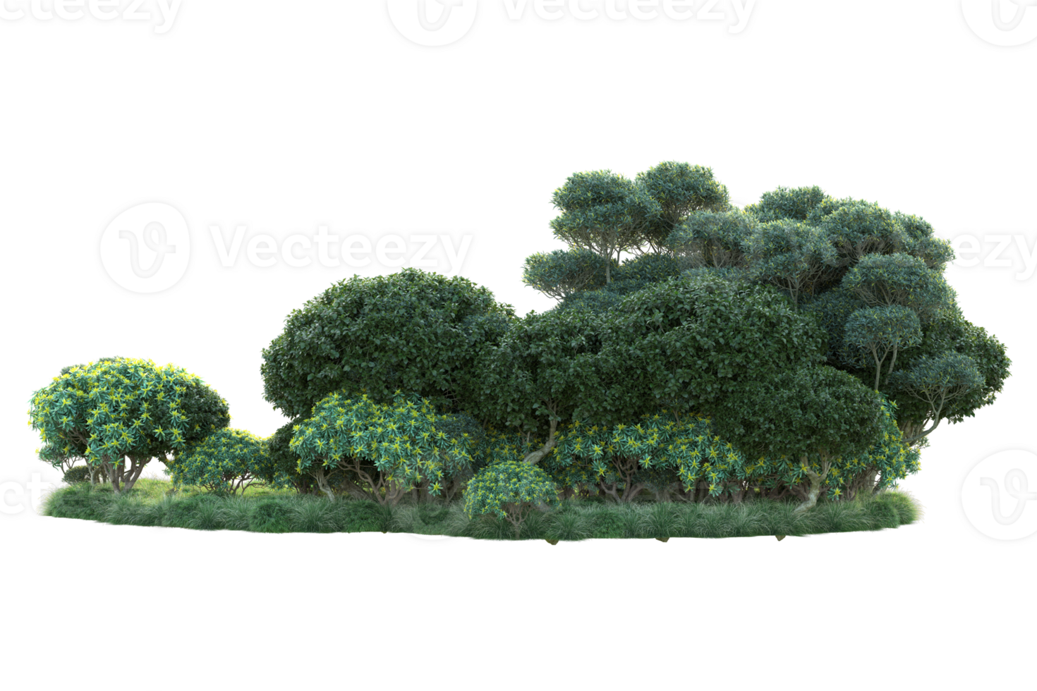 Tropical forest isolated on transparent background. 3d rendering - illustration png