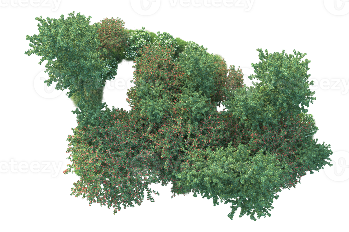 Tropical forest isolated on transparent background. 3d rendering - illustration png
