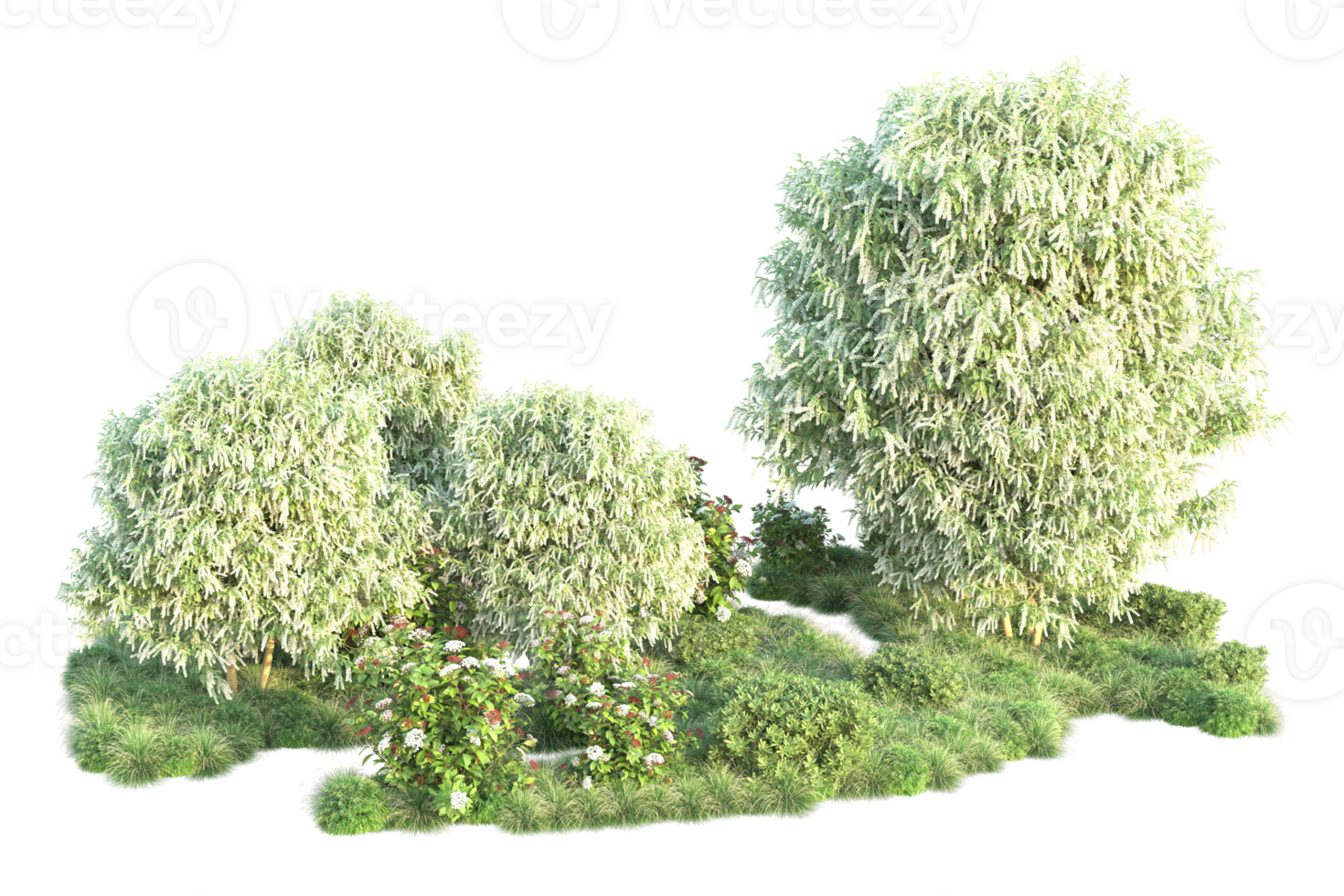 Tropical forest isolated on transparent background. 3d rendering - illustration png