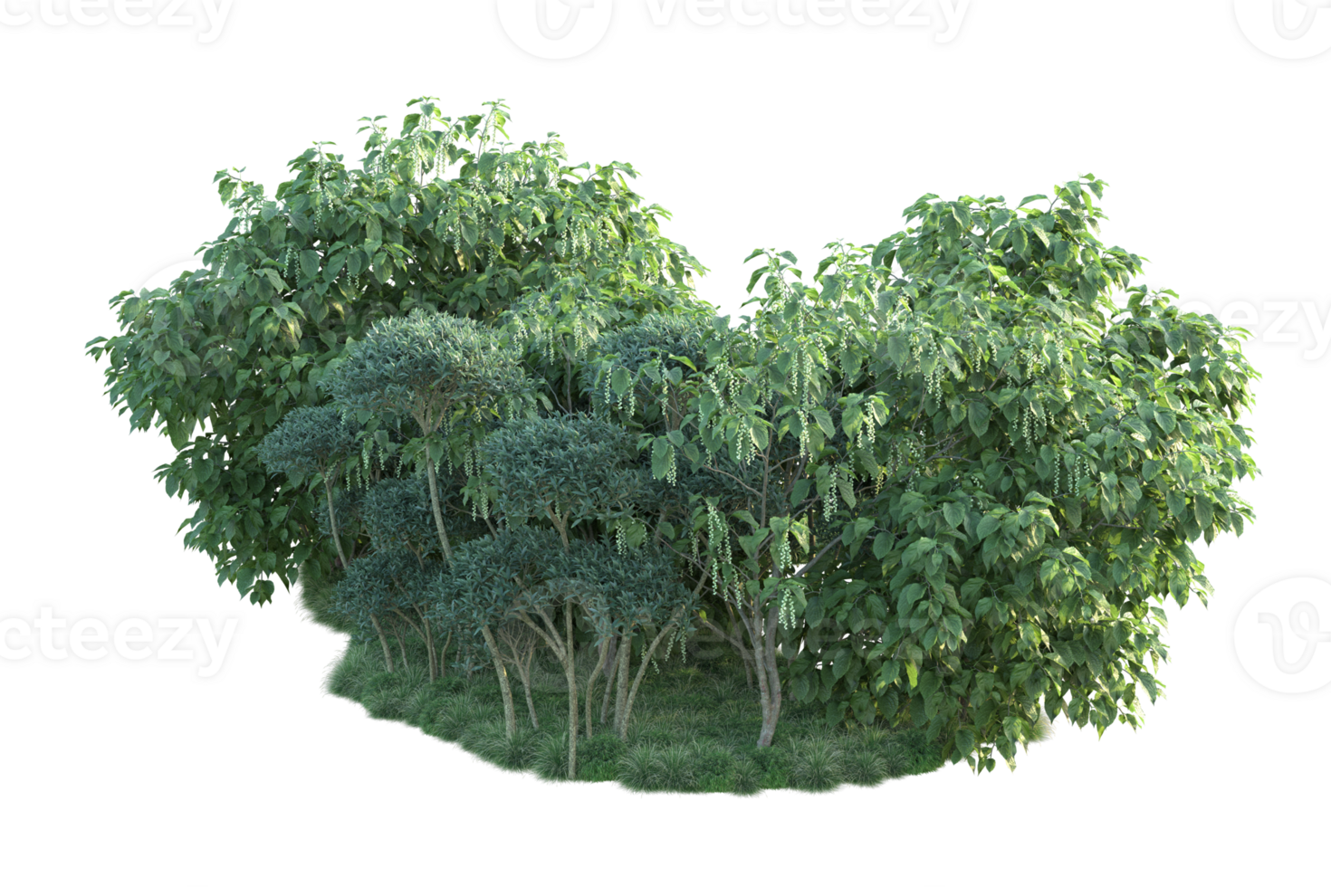 Tropical forest isolated on transparent background. 3d rendering - illustration png