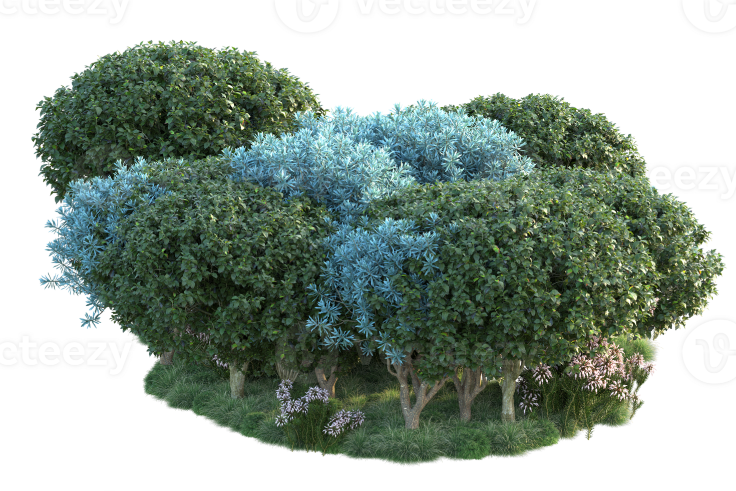 Tropical forest isolated on transparent background. 3d rendering - illustration png