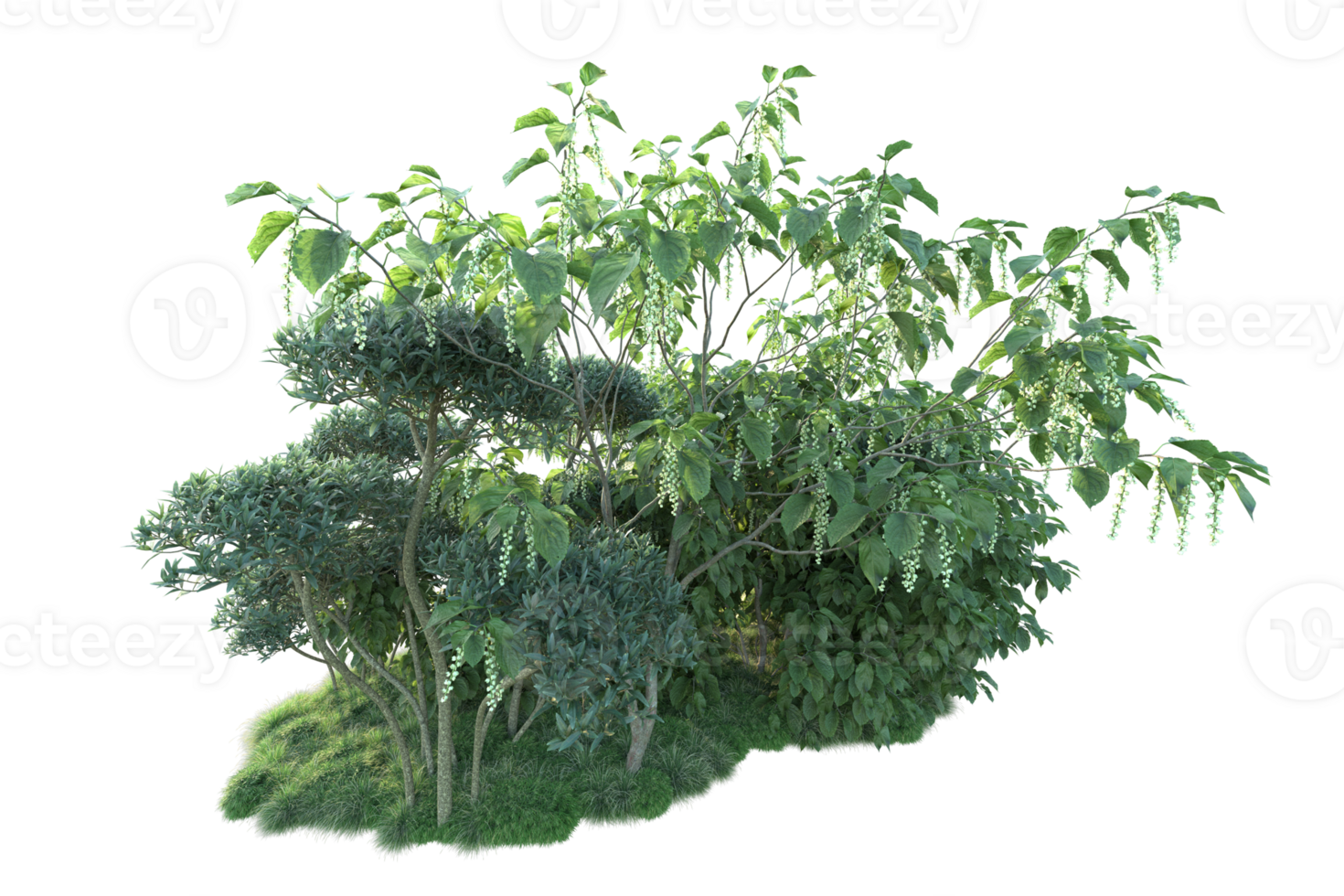 Tropical forest isolated on transparent background. 3d rendering - illustration png