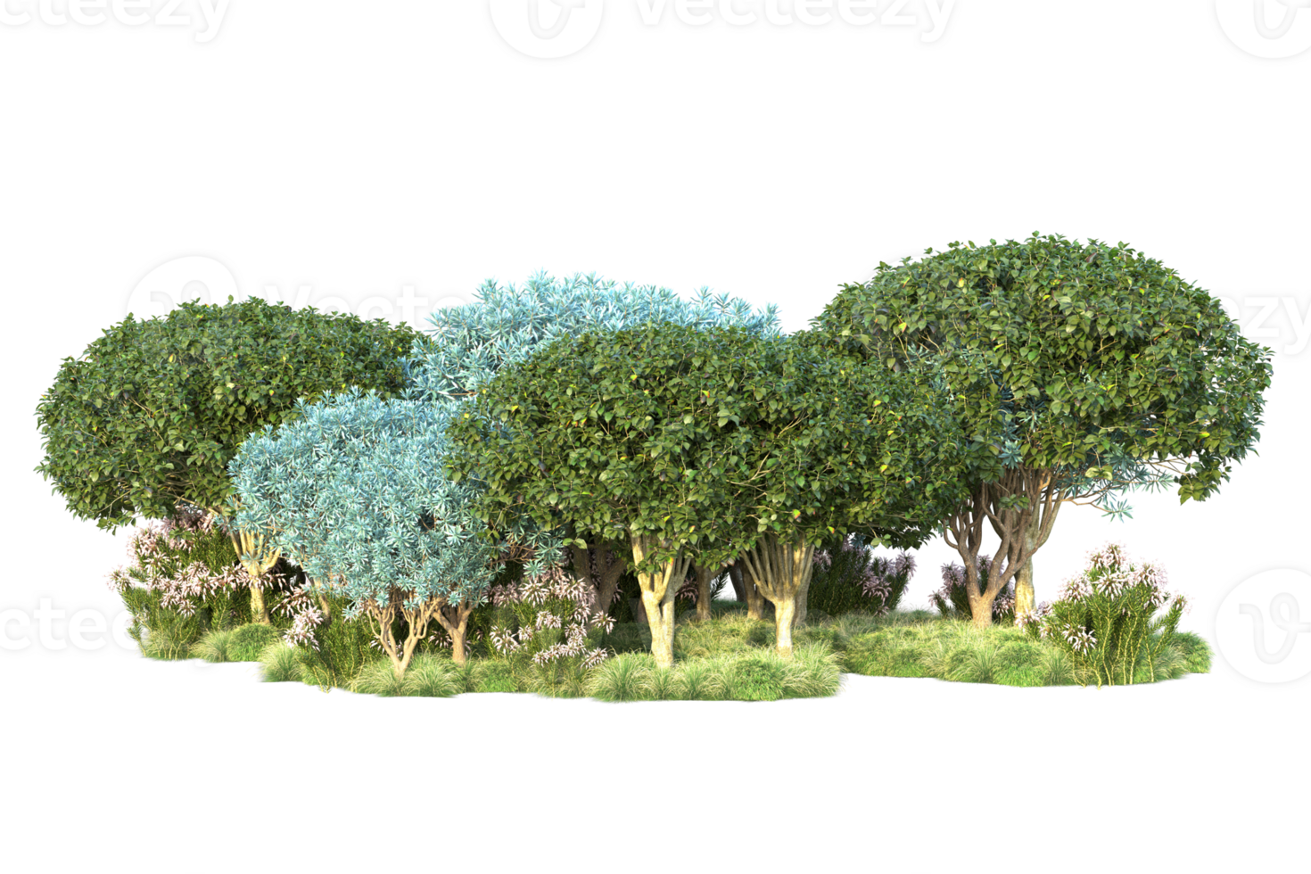 Tropical forest isolated on transparent background. 3d rendering - illustration png