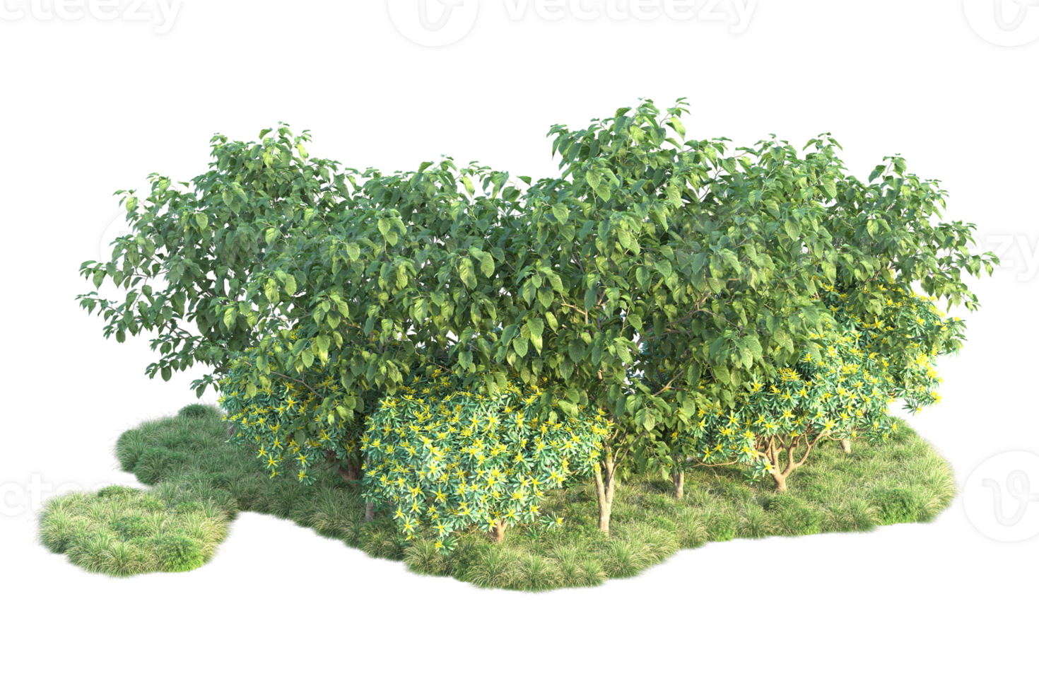 Tropical forest isolated on transparent background. 3d rendering - illustration png