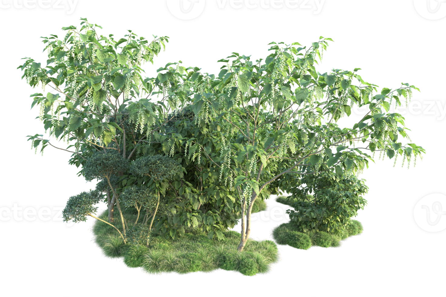 Tropical forest isolated on transparent background. 3d rendering - illustration png