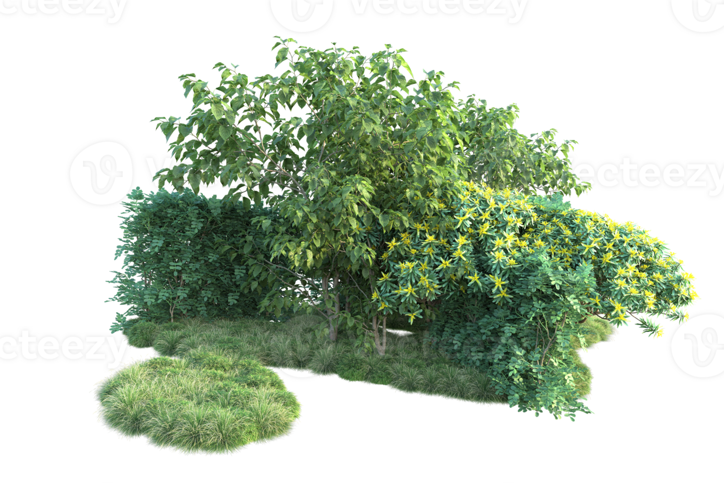 Tropical forest isolated on transparent background. 3d rendering - illustration png