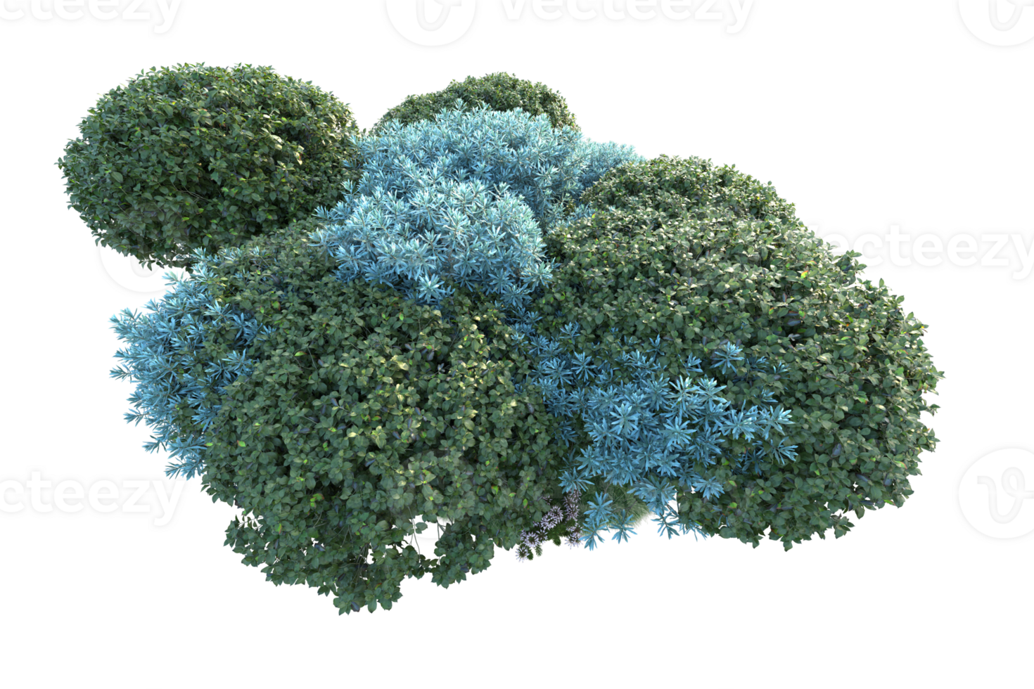 Tropical forest isolated on transparent background. 3d rendering - illustration png