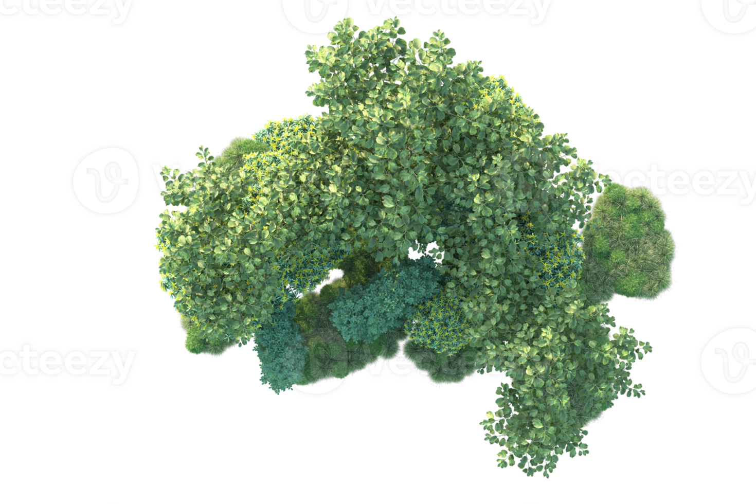 Tropical forest isolated on transparent background. 3d rendering - illustration png