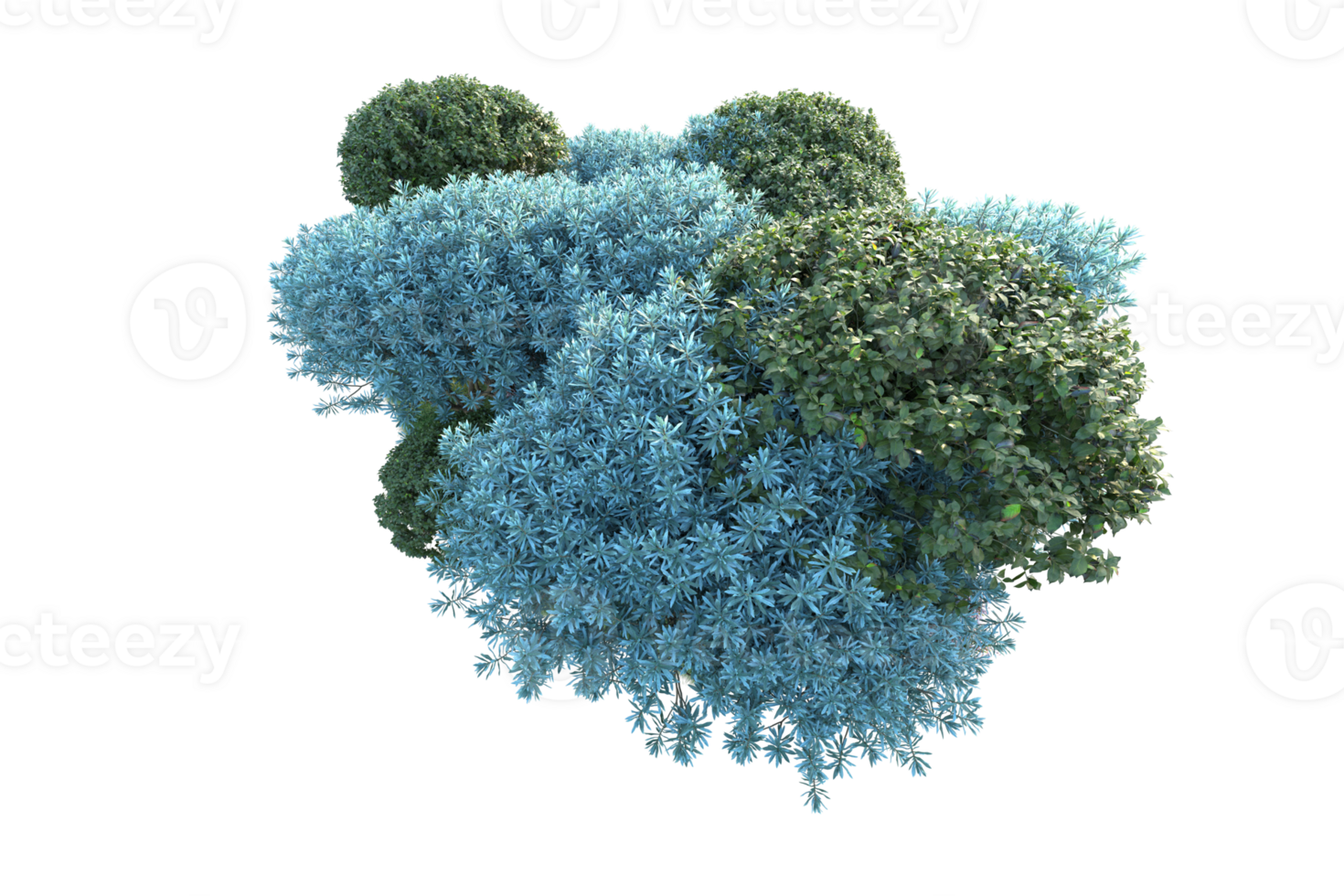 Tropical forest isolated on transparent background. 3d rendering - illustration png