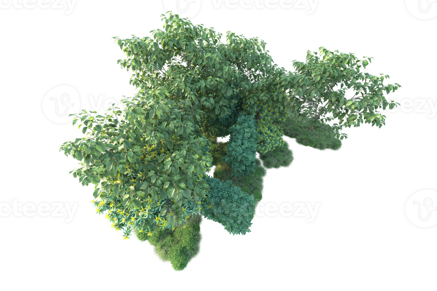 Tropical forest isolated on transparent background. 3d rendering - illustration png