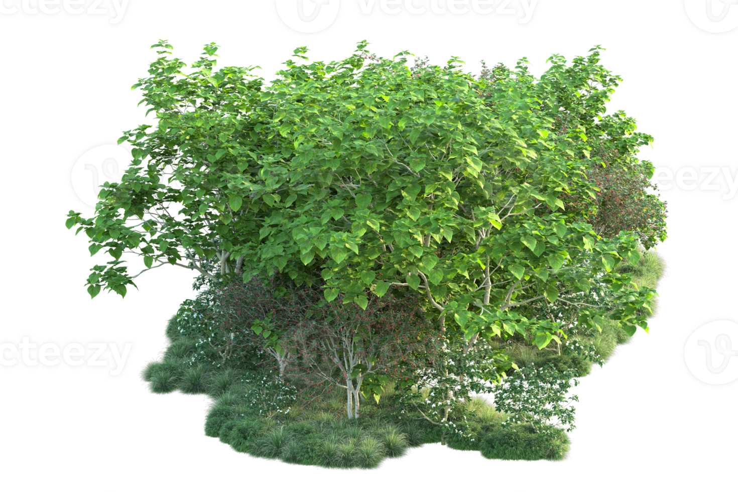 Tropical forest isolated on transparent background. 3d rendering - illustration png