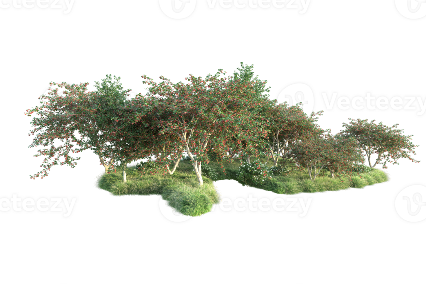 Tropical forest isolated on transparent background. 3d rendering - illustration png