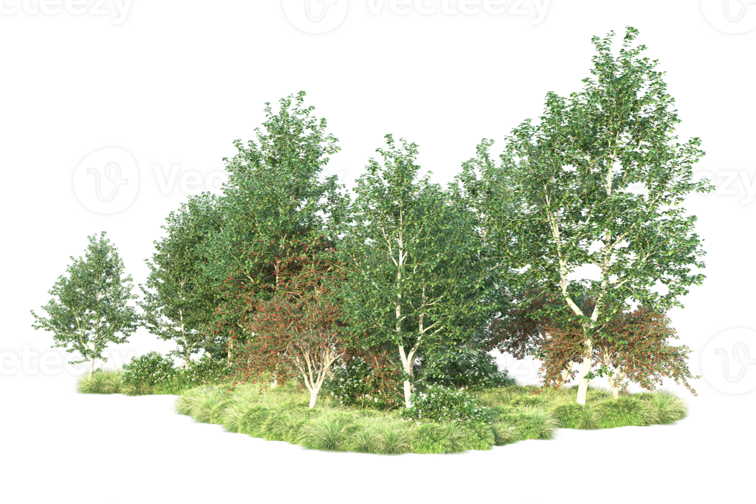 Tropical forest isolated on transparent background. 3d rendering - illustration png