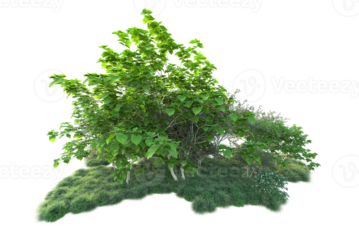 Tropical forest isolated on transparent background. 3d rendering - illustration png