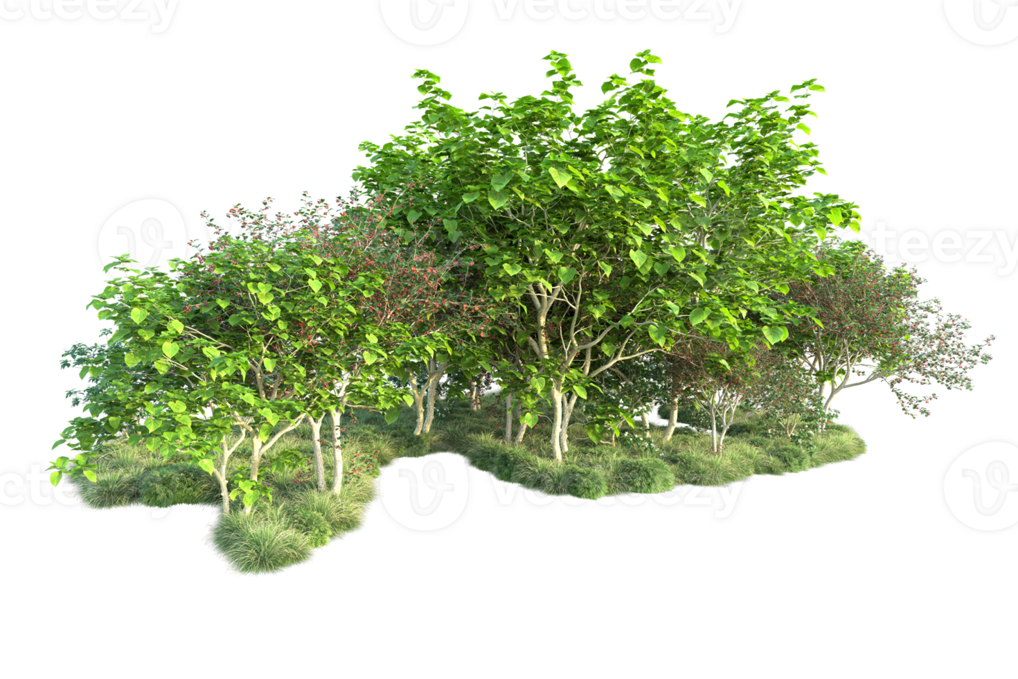 Tropical forest isolated on transparent background. 3d rendering - illustration png