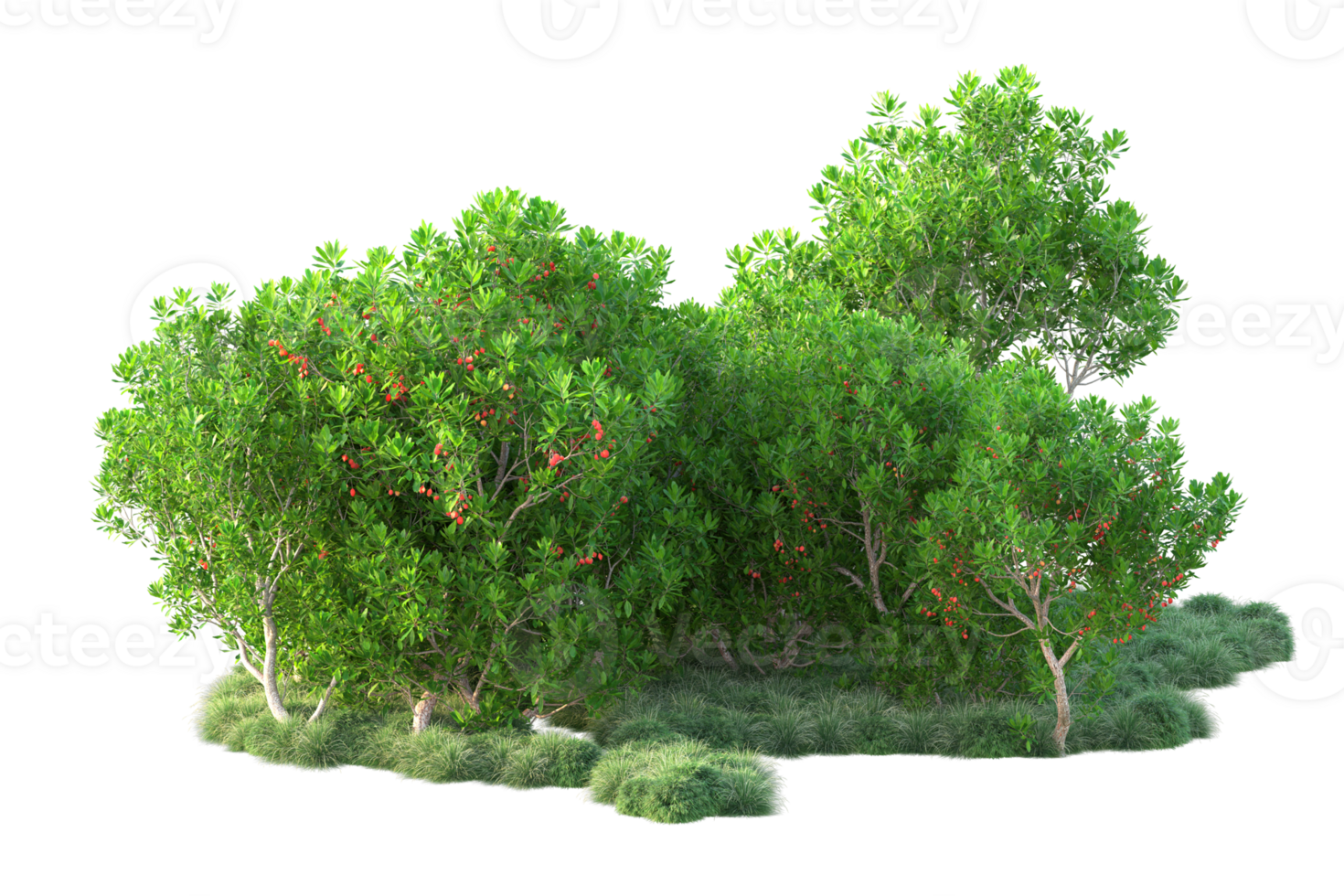 Tropical forest isolated on transparent background. 3d rendering - illustration png