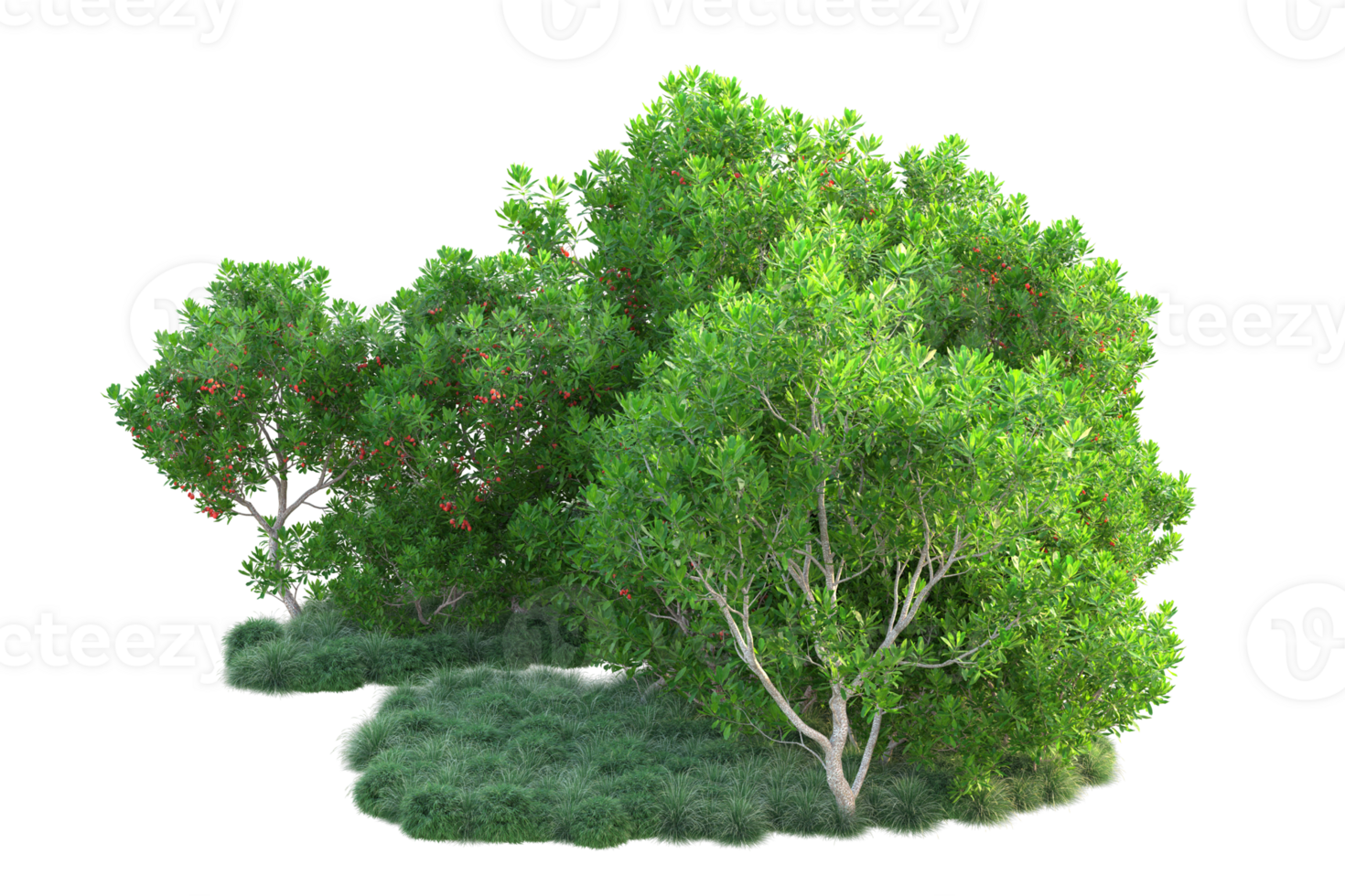 Tropical forest isolated on transparent background. 3d rendering - illustration png