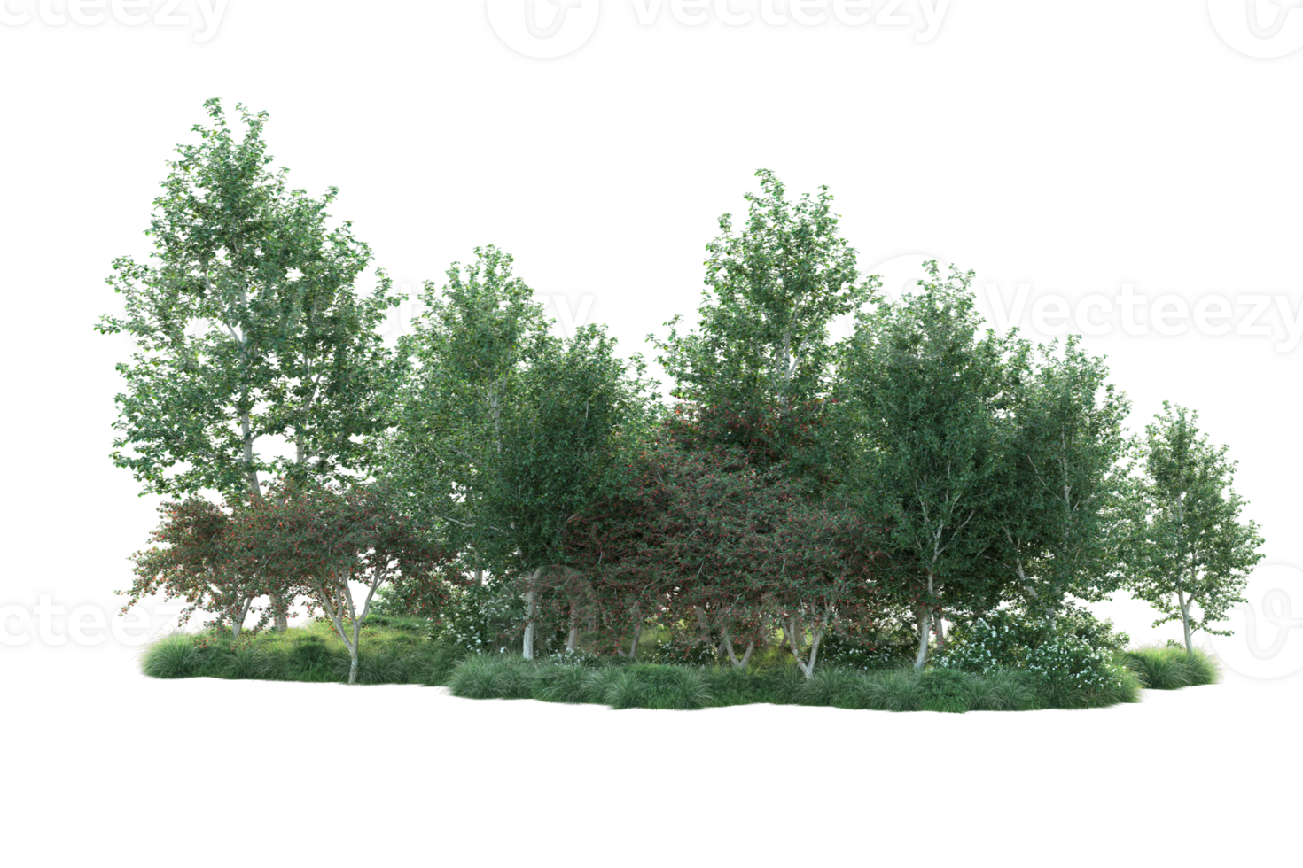 Tropical forest isolated on transparent background. 3d rendering - illustration png