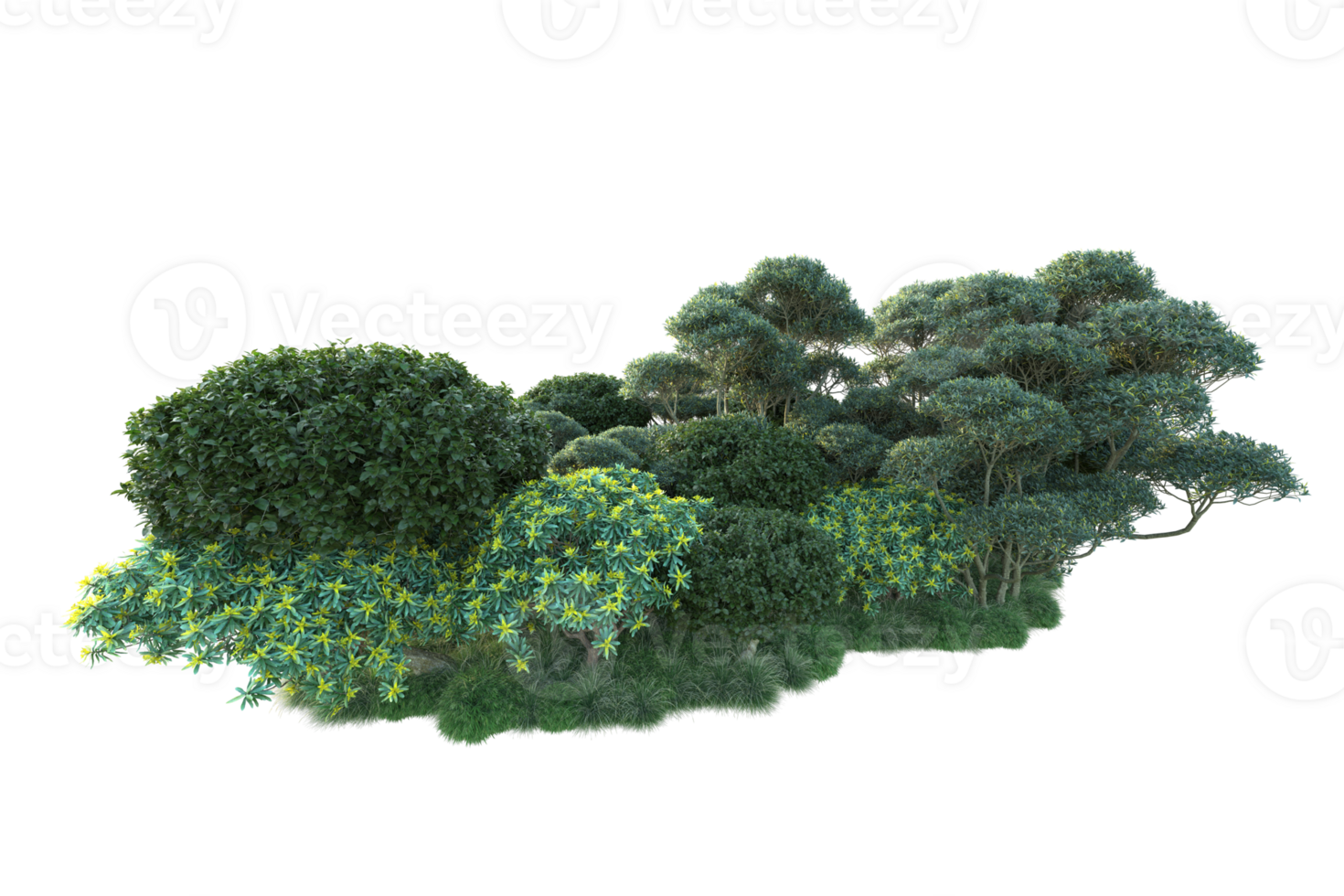 Tropical forest isolated on transparent background. 3d rendering - illustration png