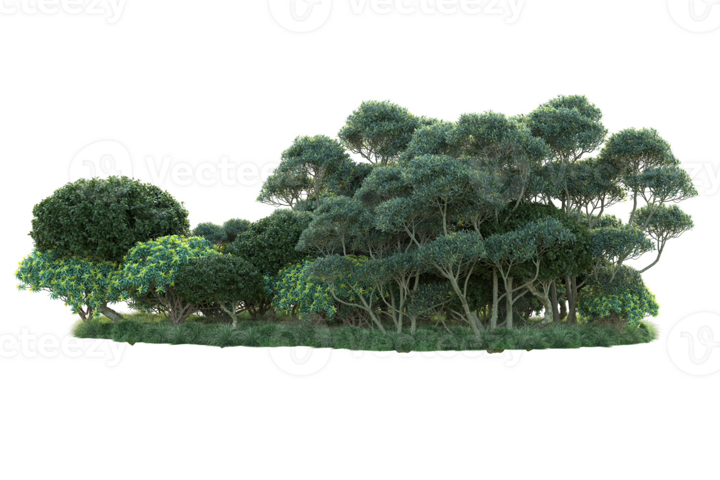 Tropical forest isolated on transparent background. 3d rendering - illustration png