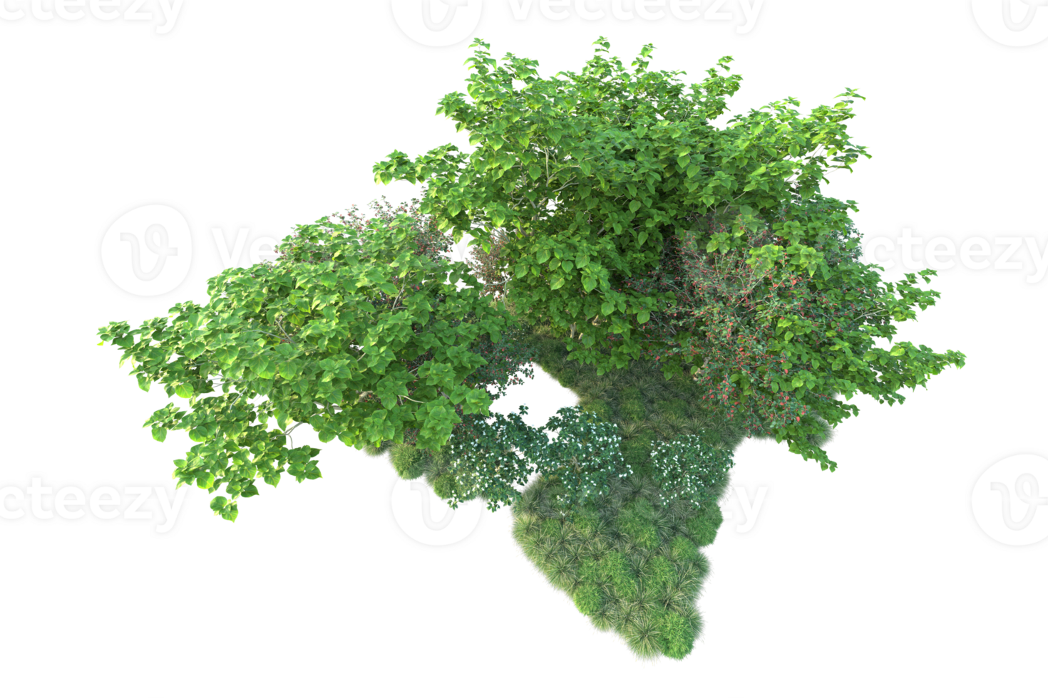 Tropical forest isolated on transparent background. 3d rendering - illustration png