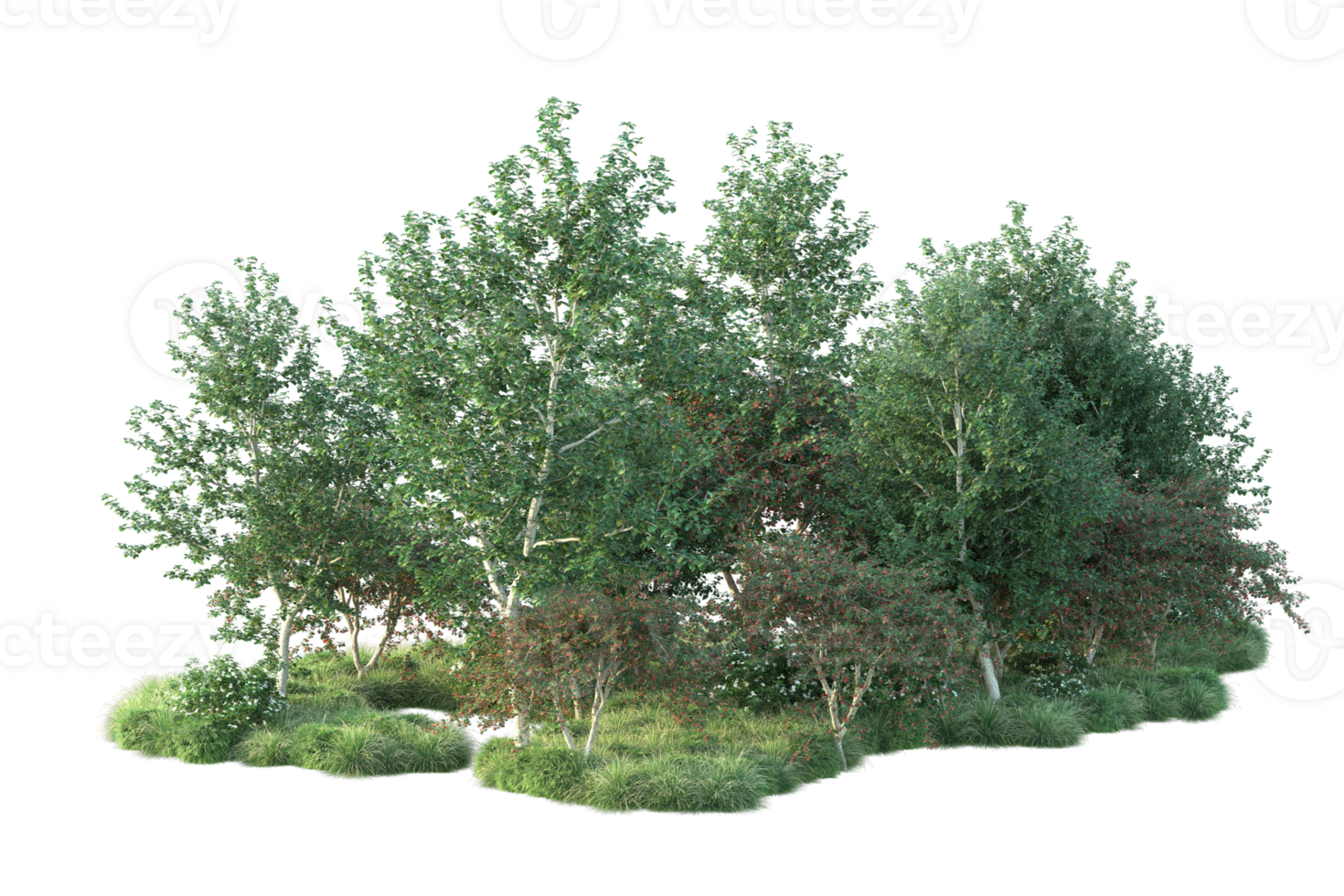 Tropical forest isolated on transparent background. 3d rendering - illustration png