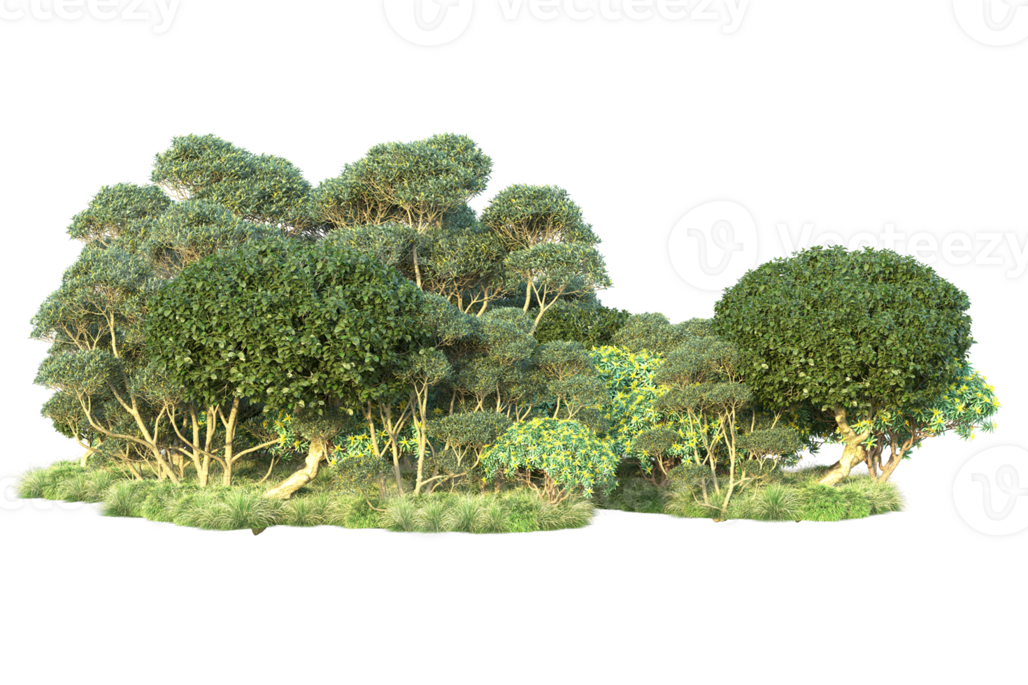 Tropical forest isolated on transparent background. 3d rendering - illustration png