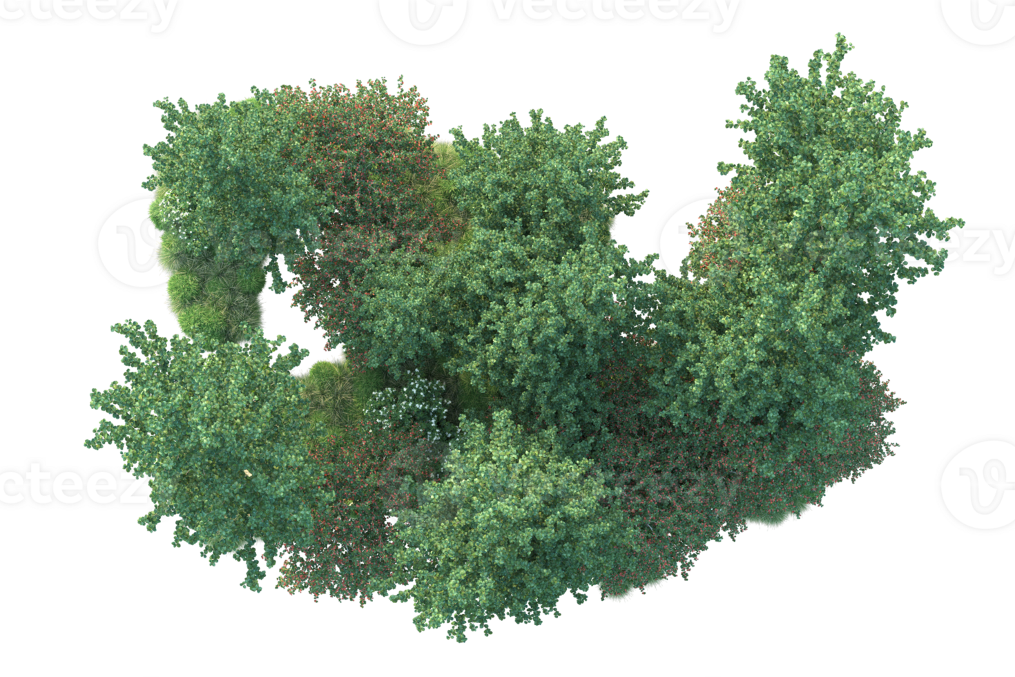 Tropical forest isolated on transparent background. 3d rendering - illustration png