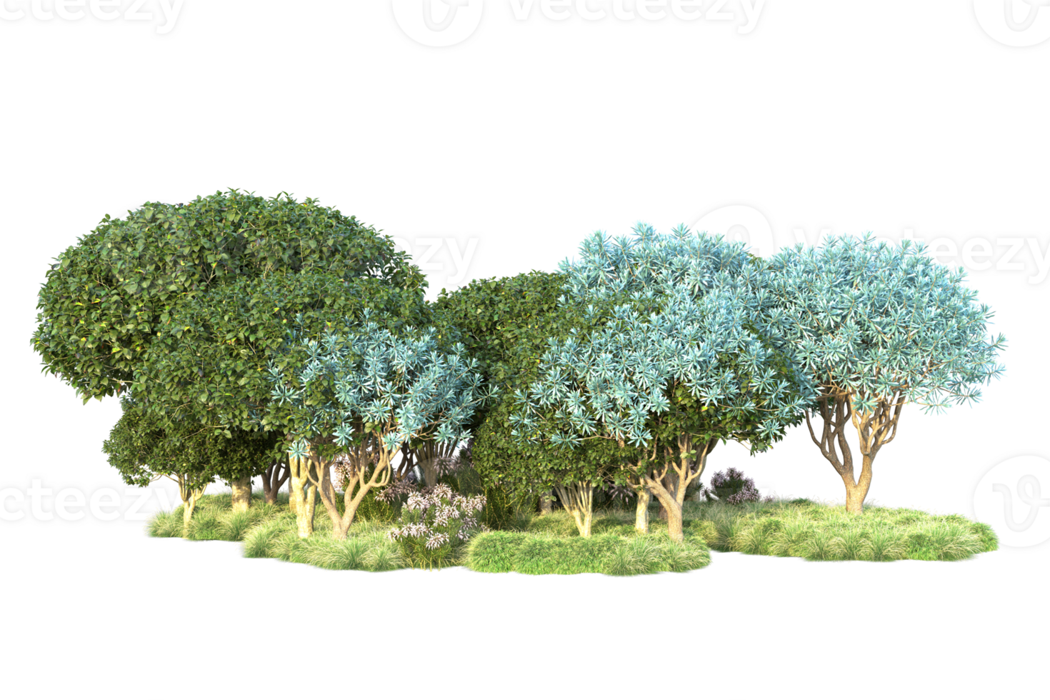 Tropical forest isolated on transparent background. 3d rendering - illustration png