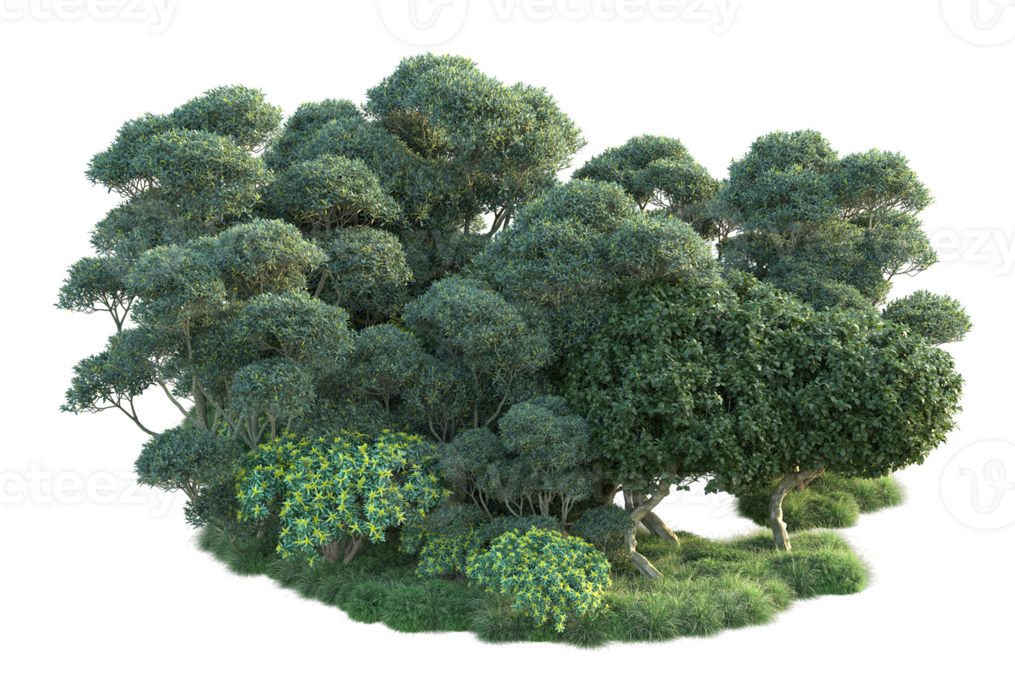 Tropical forest isolated on transparent background. 3d rendering - illustration png