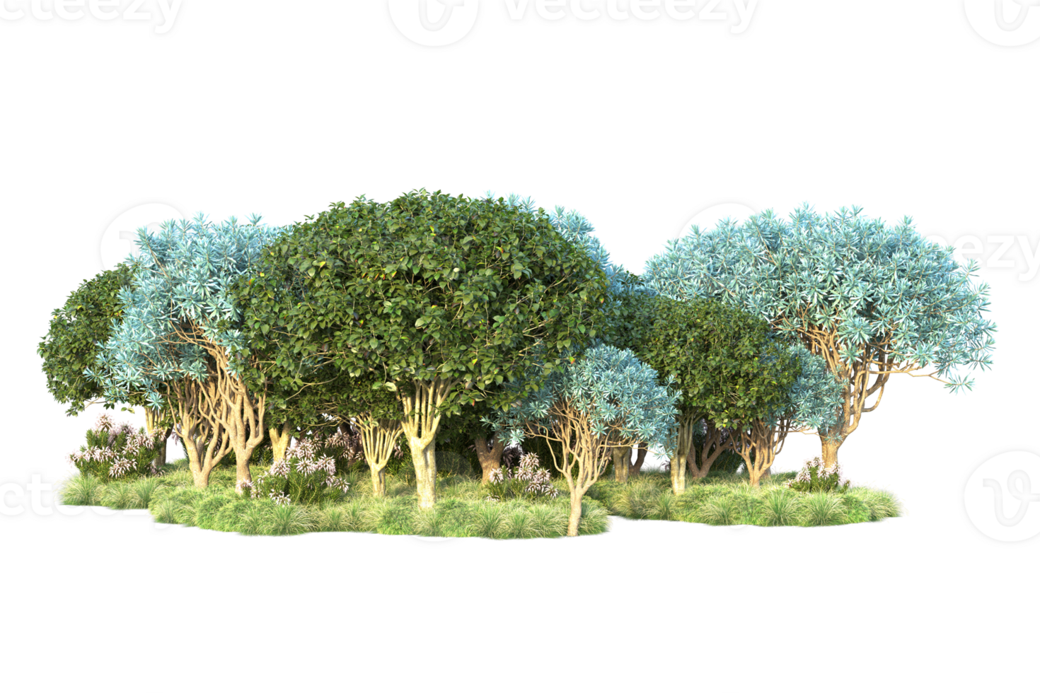 Tropical forest isolated on transparent background. 3d rendering - illustration png