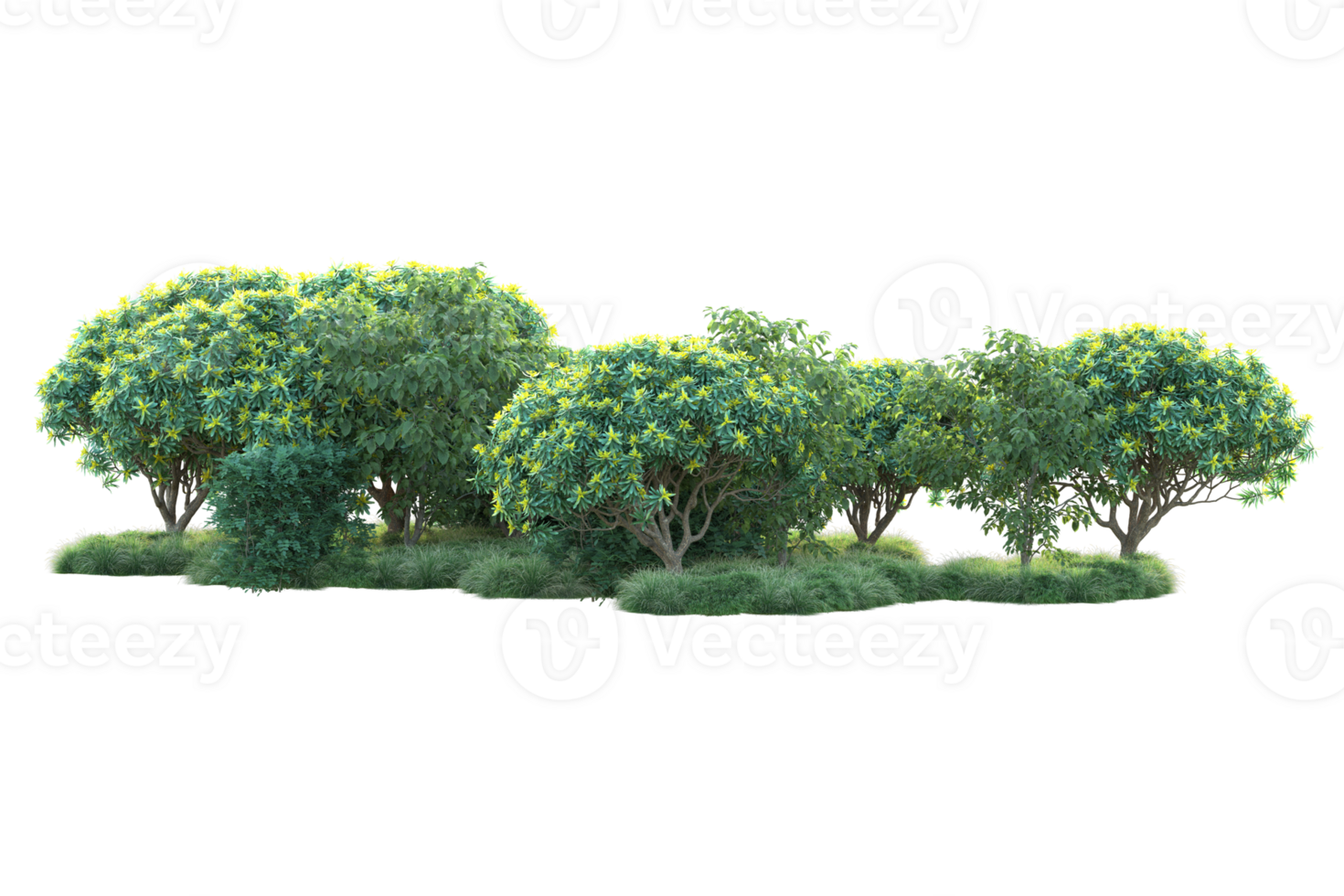 Tropical forest isolated on transparent background. 3d rendering - illustration png