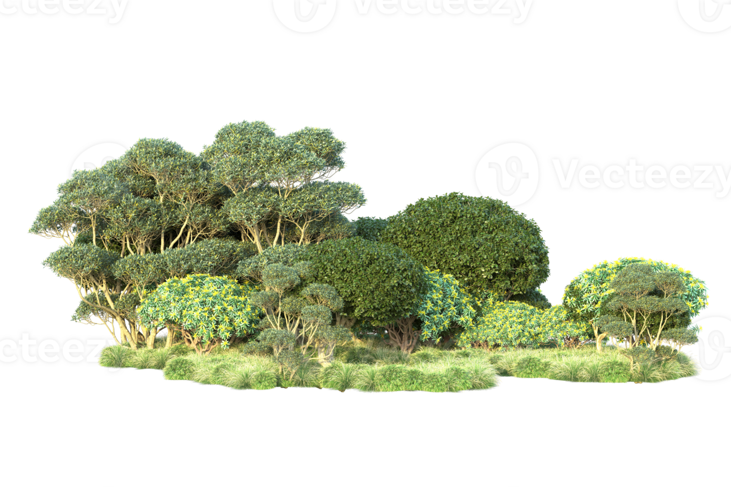 Tropical forest isolated on transparent background. 3d rendering - illustration png