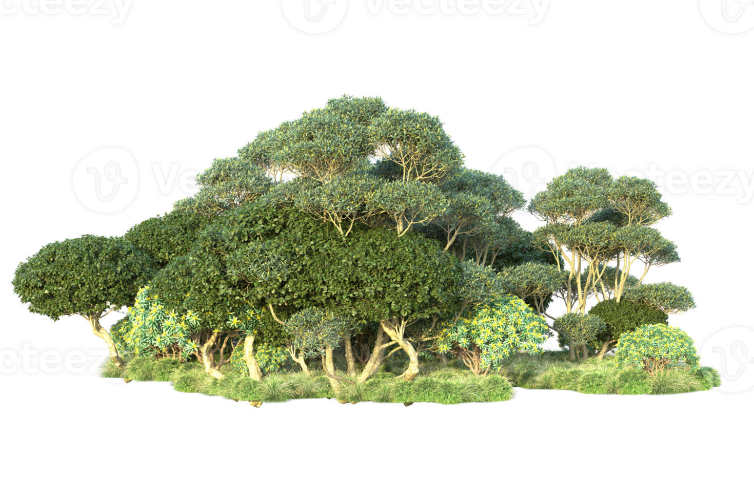 Tropical forest isolated on transparent background. 3d rendering - illustration png