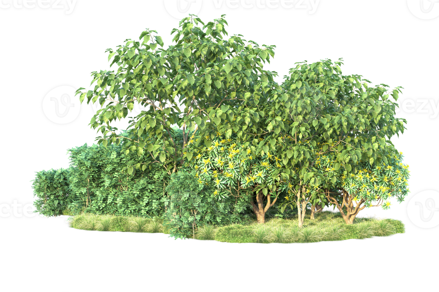 Tropical forest isolated on transparent background. 3d rendering - illustration png