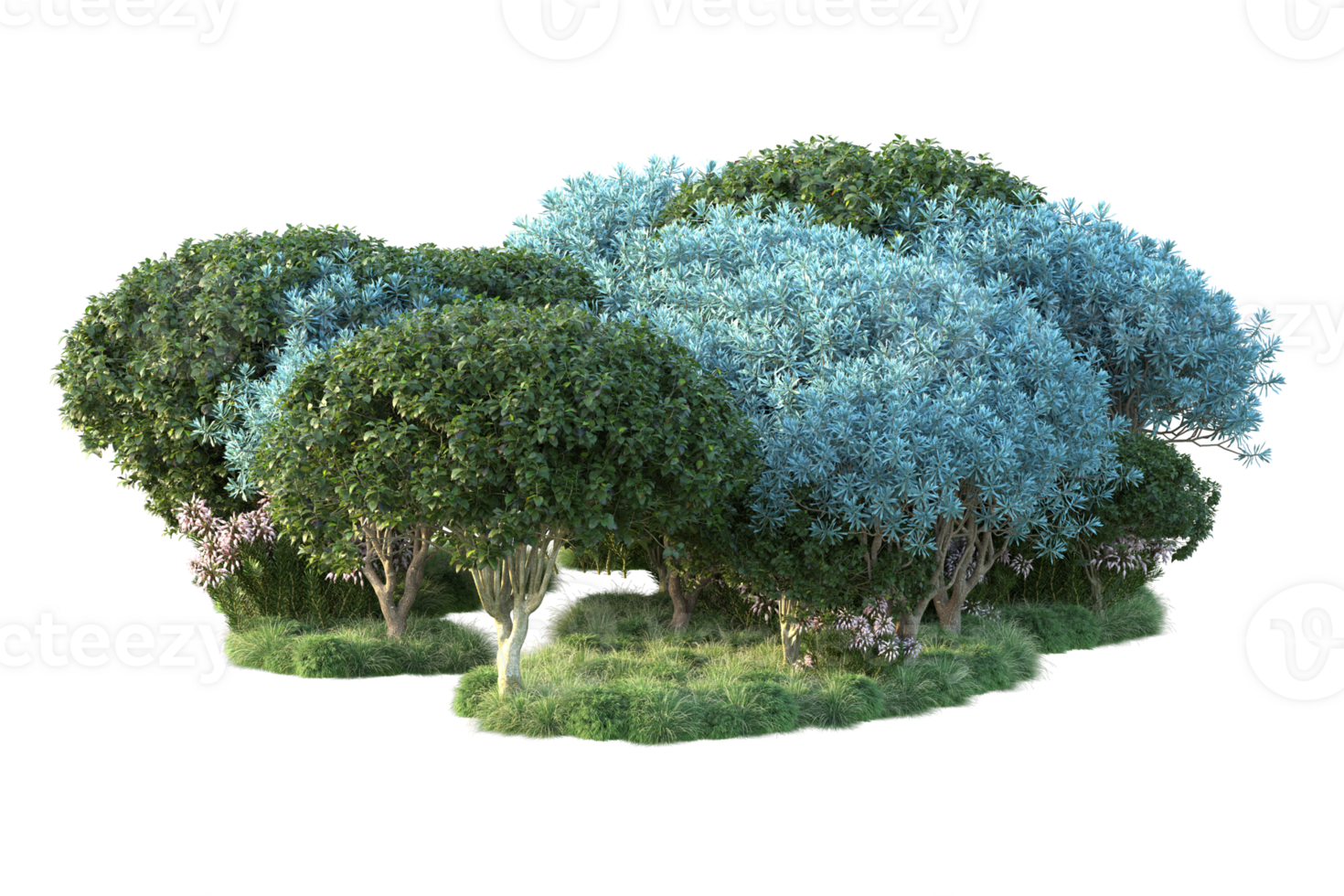 Tropical forest isolated on transparent background. 3d rendering - illustration png
