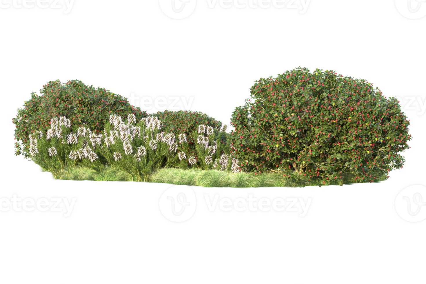 Tropical forest isolated on transparent background. 3d rendering - illustration png