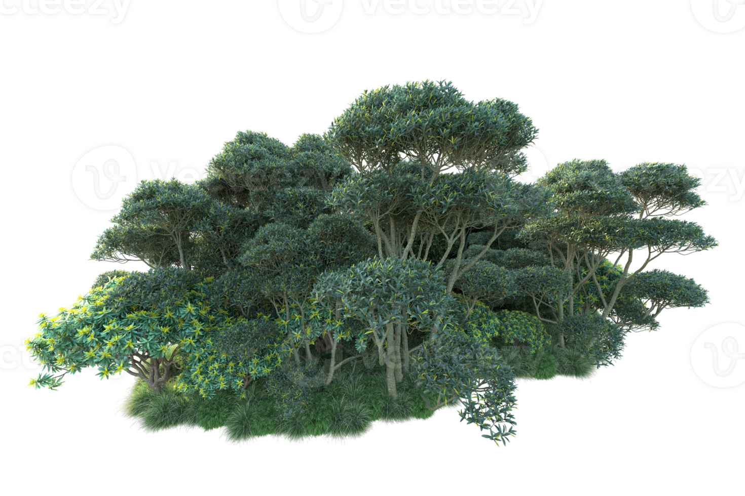 Tropical forest isolated on transparent background. 3d rendering - illustration png