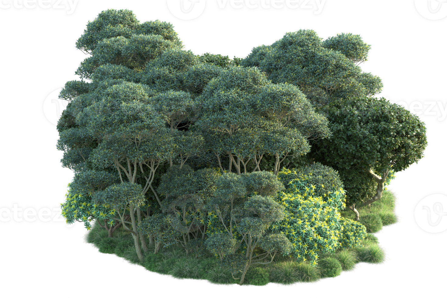 Tropical forest isolated on transparent background. 3d rendering - illustration png