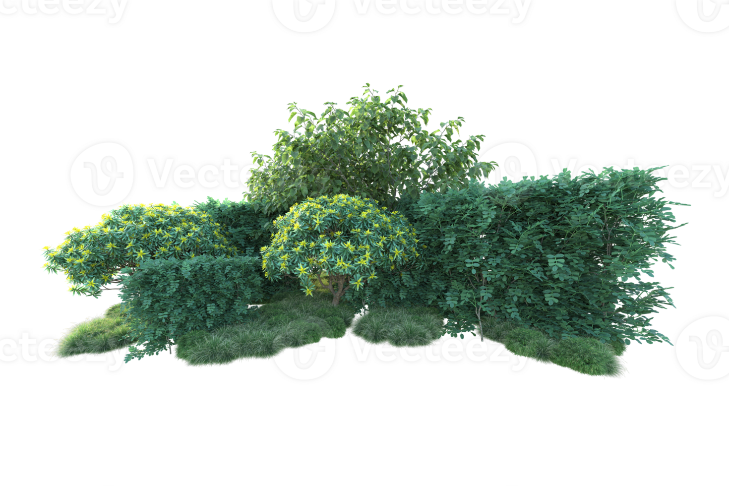 Tropical forest isolated on transparent background. 3d rendering - illustration png