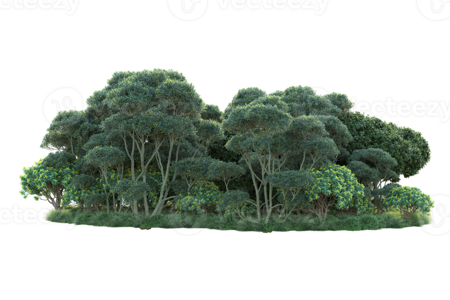Tropical forest isolated on transparent background. 3d rendering - illustration png