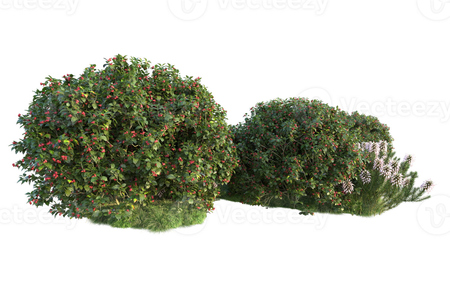 Tropical forest isolated on transparent background. 3d rendering - illustration png